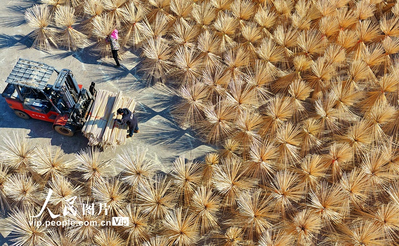 Indústria do bambu impulsiona renda rural em Guangchang, no leste da China