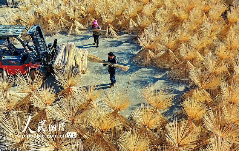 Indústria do bambu impulsiona renda rural em Guangchang, no leste da China
