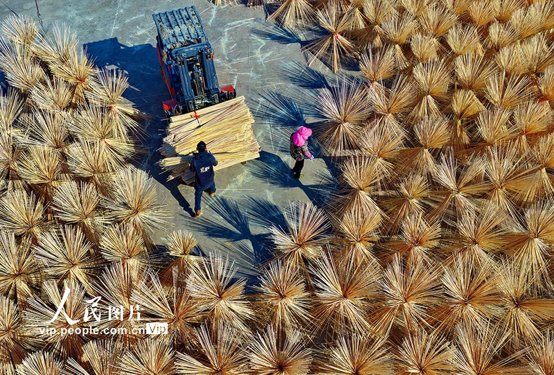 Indústria do bambu impulsiona renda rural em Guangchang, no leste da China