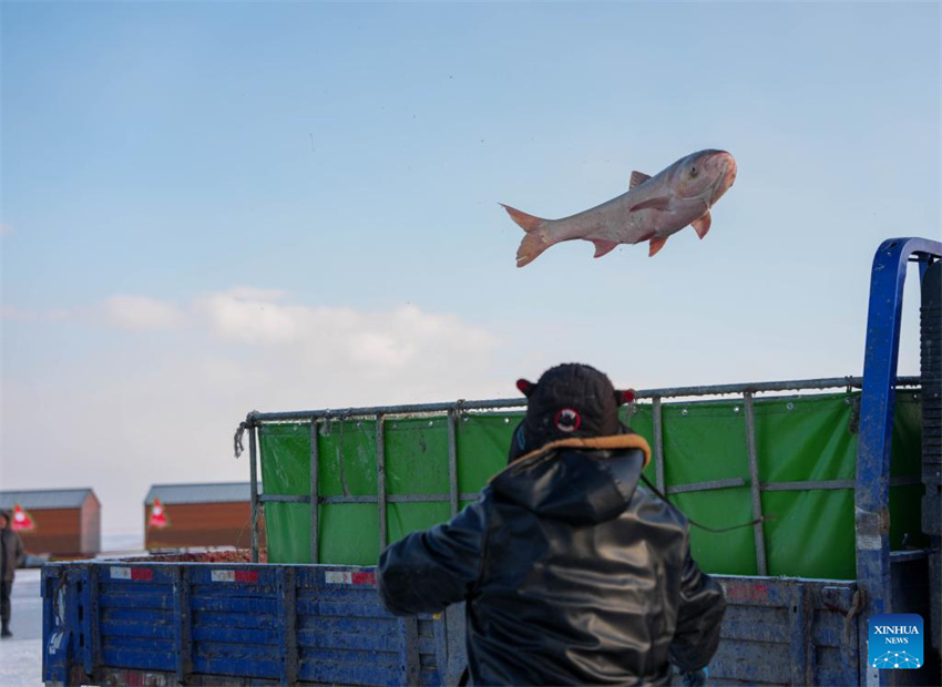 24º Festival Cultural e Turístico de Pesca e Caça no Gelo e na Neve do Lago Chagan inicia em Jilin