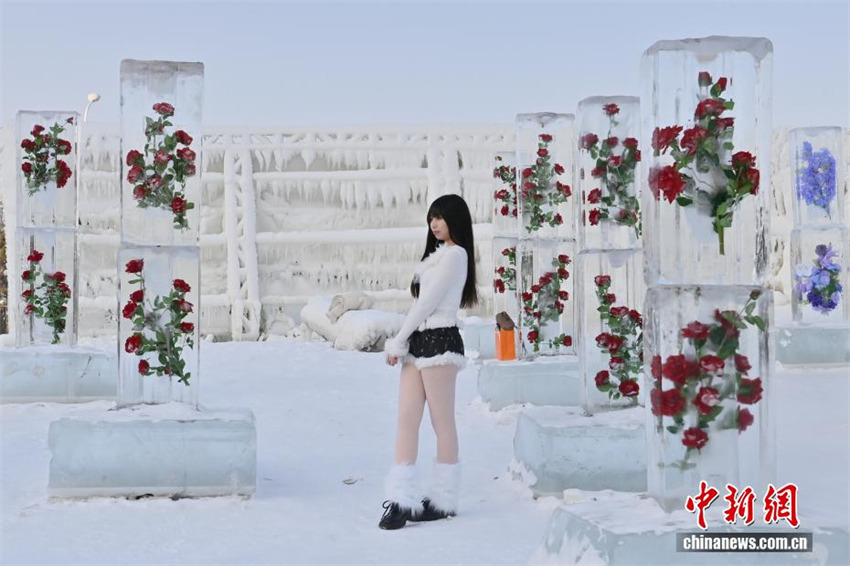 Galeria: paisagem de gelo e neve com tema de rosas atrai turistas