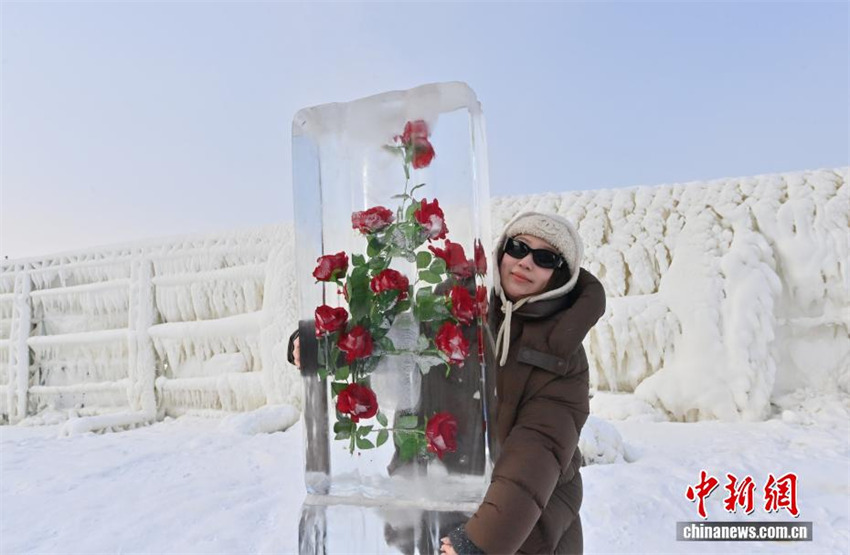 Galeria: paisagem de gelo e neve com tema de rosas atrai turistas