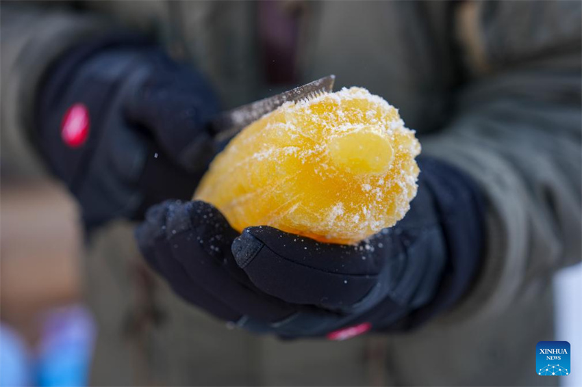 Esculturas de gelo tingidas com corantes vegetais dão mais cor ao Mundo de Gelo e Neve de Harbin
