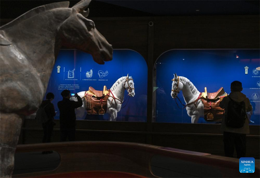 Exposição sobre o Ano do Cavalo será inaugurada em Beijing