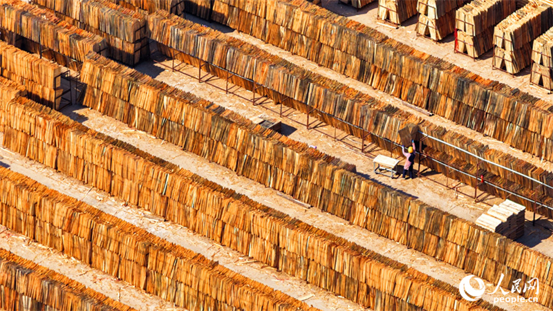Jiangxi: indústria de madeira e bambu promove desenvolvimento rural em Xingguo
