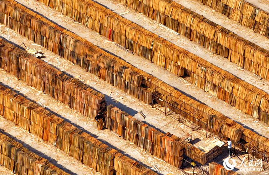Jiangxi: indústria de madeira e bambu promove desenvolvimento rural em Xingguo