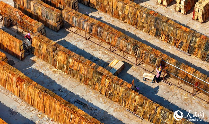 Jiangxi: indústria de madeira e bambu promove desenvolvimento rural em Xingguo