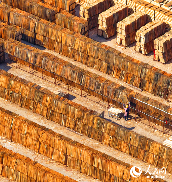 Jiangxi: indústria de madeira e bambu promove desenvolvimento rural em Xingguo