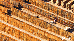 Jiangxi: indústria de madeira e bambu promove desenvolvimento rural em XingguoRecentemente, em uma base de processamento de madeira no município de Xingguo, província de Jiangxi, moradores aproveitaram o tempo ensolarado para a secagem de madeira.