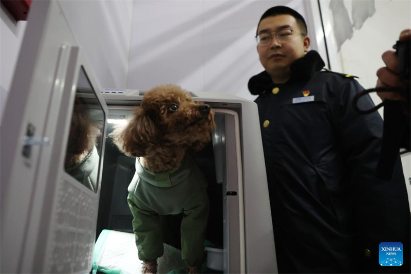 China amplia serviços de transporte de animais de estimação em trens de alta velocidade para viagens do Festival da Primavera