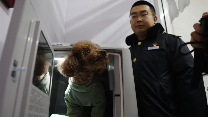 China amplia serviços de transporte de animais de estimação em trens de alta velocidade para viagens do Festival da PrimaveraCom a chegada da temporada de viagens do Festival da Primavera, a Estação Ferroviária Oeste de Lanzhou recebeu diversos passageiros com animais de estimação.