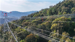 Projeto de interconexão de energia de 500 kV China-Laos atinge conectividade totalAs secções chinesa e laosiana do projeto de interconexão de energia de 500 kV China-Laos foram fisicamente conectadas na quinta-feira, marcando um importante passo para a entrada em operação do projeto.