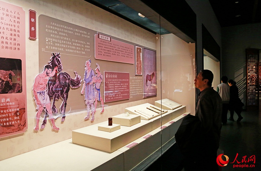 Museu de Tianjin apresenta exposição especial do Ano do Cavalo