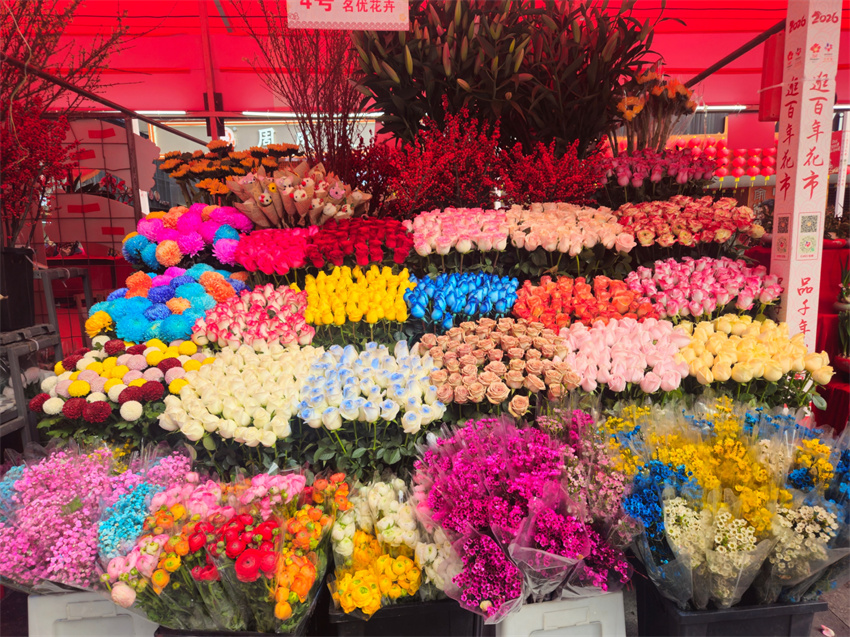 Feira de Flores de Xihu inaugurada em Guangzhou