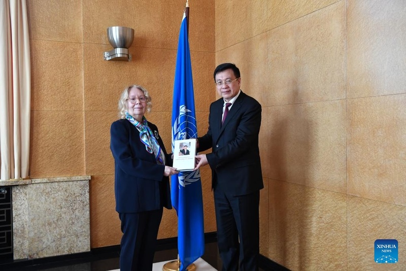 Seminário sobre governança global em Genebra marca lançamento da edição em inglês do Volume I de 