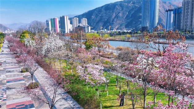 Galeria: parques de Longnan atravessam período de floração plena da primavera