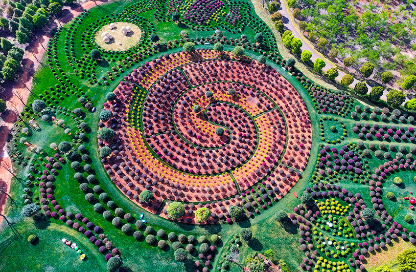 Galeria: parque florestal em Yunnan vira cenário de conto de fadas