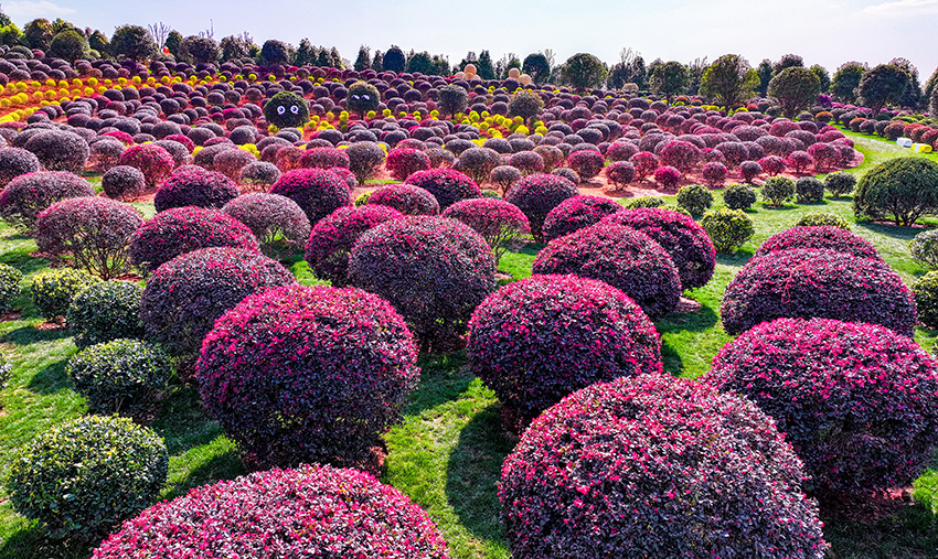 Galeria: parque florestal em Yunnan vira cenário de conto de fadas