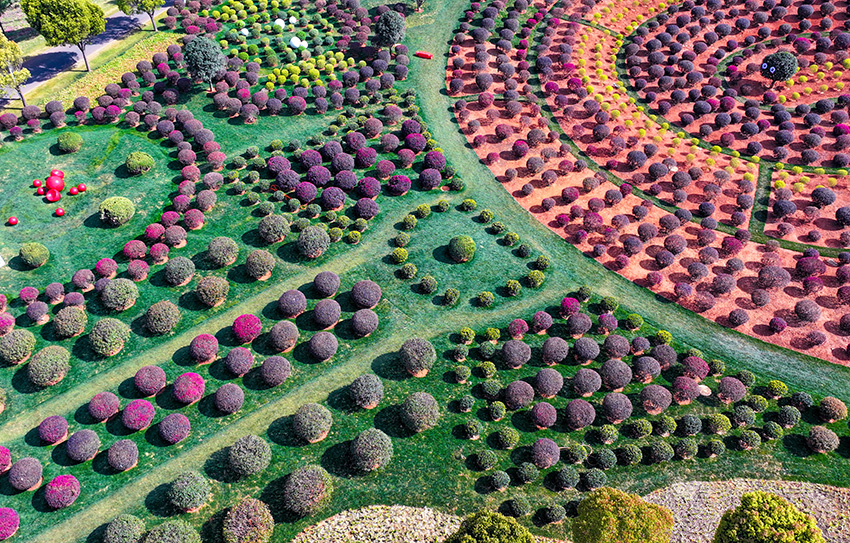 Galeria: parque florestal em Yunnan vira cenário de conto de fadas