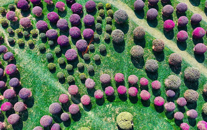 Galeria: parque florestal em Yunnan vira cenário de conto de fadas