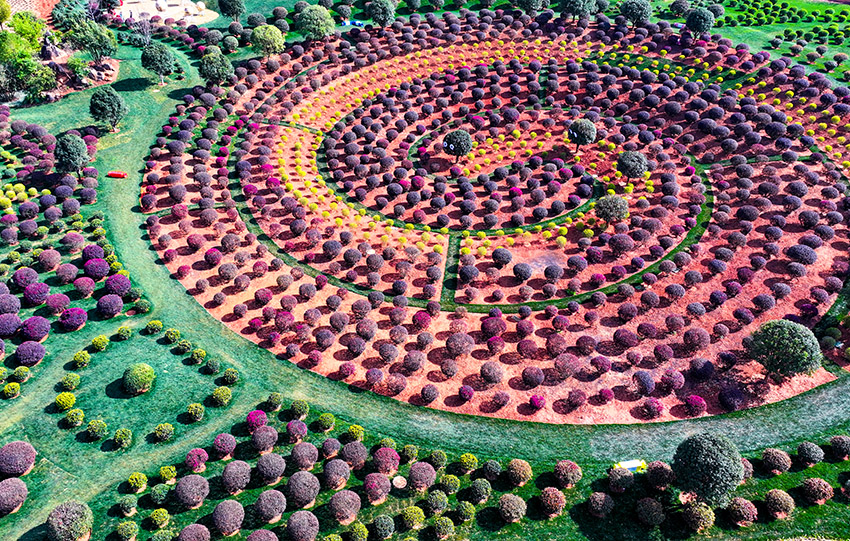 Galeria: parque florestal em Yunnan vira cenário de conto de fadas