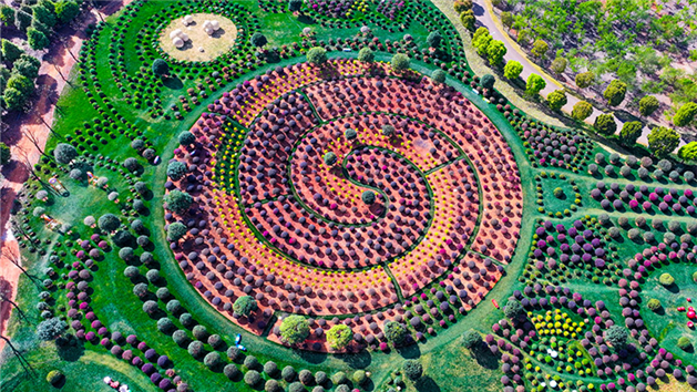 Galeria: parque florestal em Yunnan vira cenário de conto de fadas