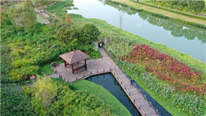 China acelerará transição verde e reduzirá emissões de carbonoA China acelerará a transição verde em todos os setores e reduzirá as emissões de dióxido de carbono por unidade de PIB em um total de 17% no período de 2026 a 2030.