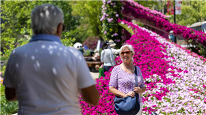 China diz que viagens de entrada em 2025 superaram 150 milhões, alta de 17%A China registrou mais de 150 milhões de viagens de entrada em 2025, marcando um aumento anual de mais de 17%.