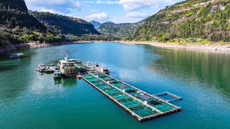 Base em Chongqing protege espécies raras do rio Yangtze