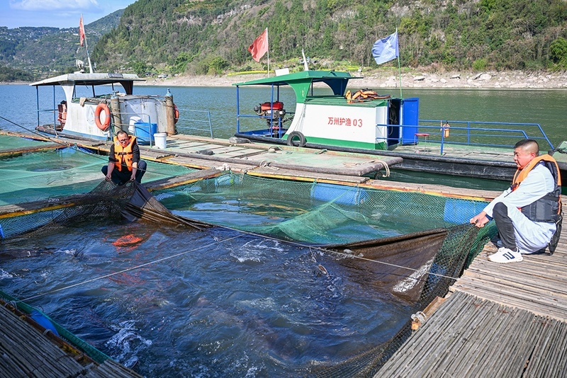 Base em Chongqing protege espécies raras do rio Yangtze