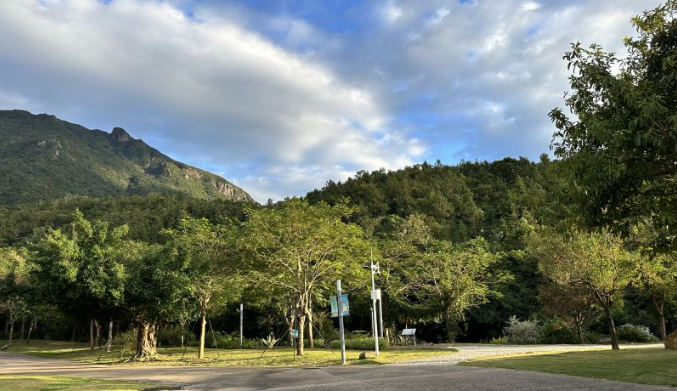 Taxa de cobertura florestal e de pastagens da China ultrapassa 56%, diz relatórioA taxa de cobertura florestal e de pastagens da China superou 56%, graças aos seus esforços de florestamento.