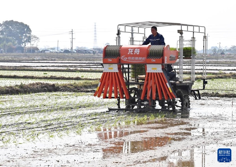 Galeria: plantio de primavera com toque de tecnologia