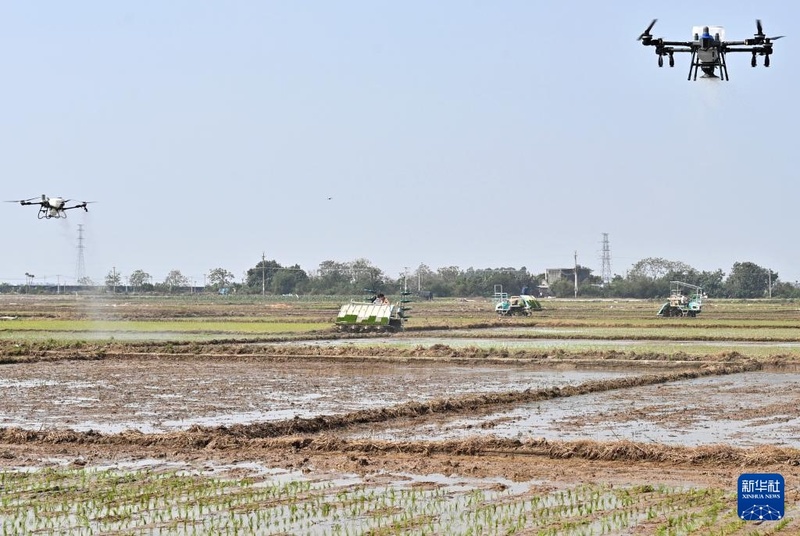 Galeria: plantio de primavera com toque de tecnologia