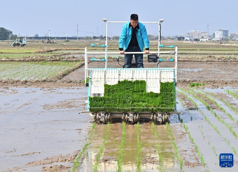 Galeria: plantio de primavera com toque de tecnologia