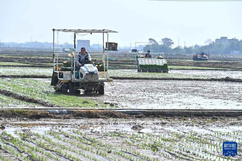 Galeria: plantio de primavera com toque de tecnologia
