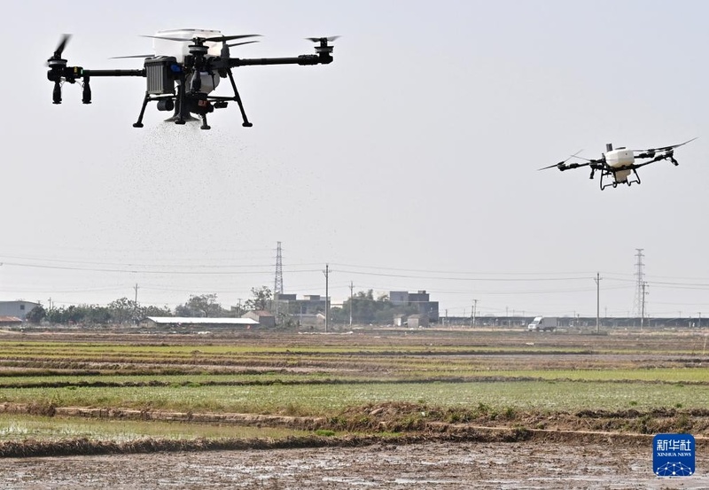 Galeria: plantio de primavera com toque de tecnologia