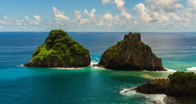 Projeto brasileiro de conservação marinha vence prêmio internacional de turismo sustentável O Projeto Golfinho Rotador venceu o ITB Earth Award.