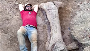 Nova espécie de dinossauro descoberta no Brasil revela pistas sobre migração evolutiva "Intercontinental"Cientistas brasileiros identificaram recentemente uma nova espécie de dinossauro gigante com base em fósseis descobertos na região Nordeste do país. 