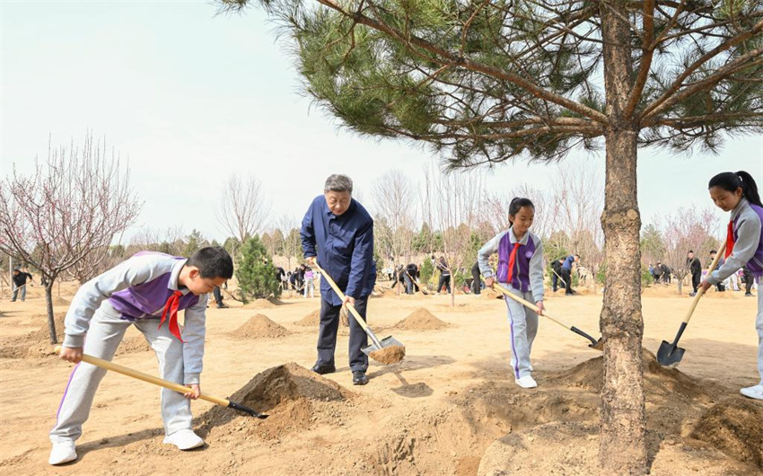 Xi Jinping incentiva mobilização de toda a sociedade em esforços de plantio de árvores
