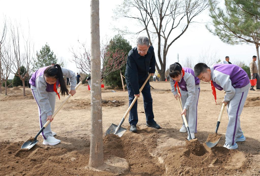 Xi Jinping incentiva mobilização de toda a sociedade em esforços de plantio de árvores