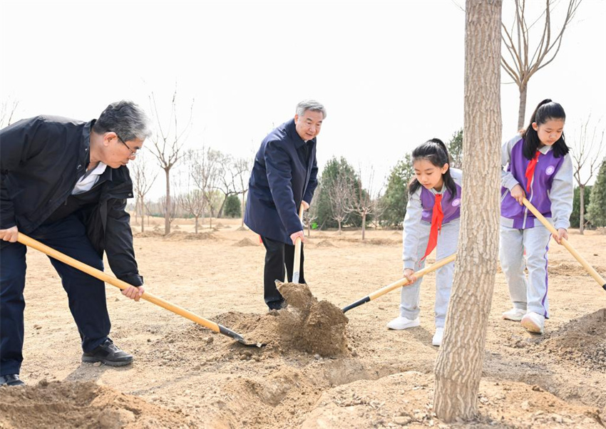 Xi Jinping incentiva mobilização de toda a sociedade em esforços de plantio de árvores