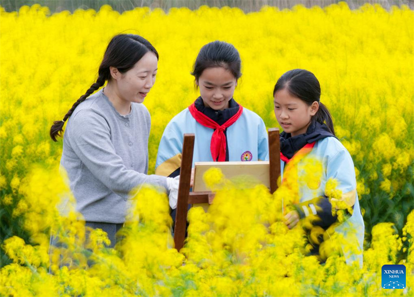 China: alunos do ensino primário e médio desfrutam de sua primeira pausa de primavera