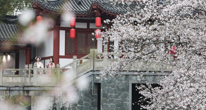 Turistas chineses aderem ao "Color Walk" e "colecionam" a primavera em coresNesta primavera, uma nova forma de lazer chamada "Color Walk" (Caminhada Colorida) vem ganhando popularidade entre os turistas chineses.