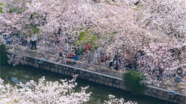 Turismo impulsiona economia da primavera durante o feridado do Festival Qingming