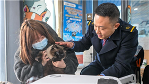 China aprimora serviço de transporte de animais de estimação em trens de alta velocidadeA China aprimorou seu serviço de transporte de animais de estimação em trens de alta velocidade, expandindo a cobertura para 121 estações e 228 trens.