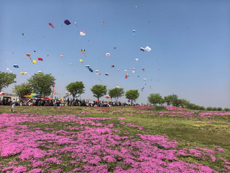 Festival Internacional de Pipas de Weifang inaugurado com grande cerimônia
