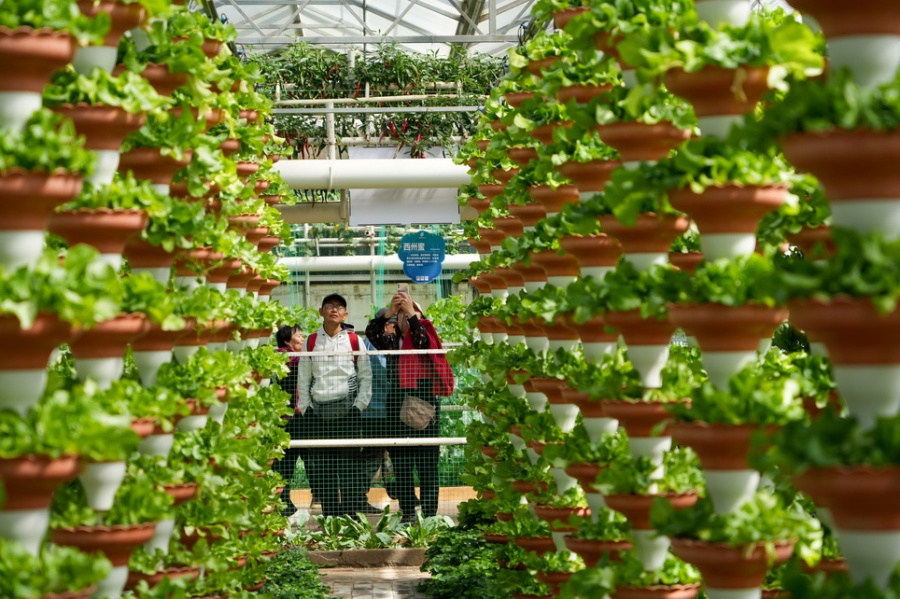 Galeria: 27ª Exposição Internacional de Ciência e Tecnologia de Vegetais da China