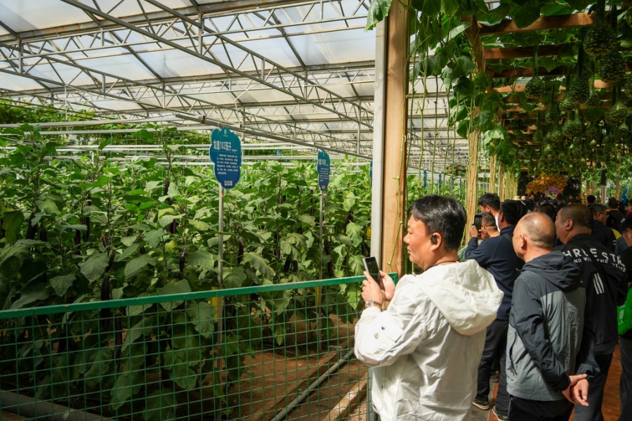 Galeria: 27ª Exposição Internacional de Ciência e Tecnologia de Vegetais da China