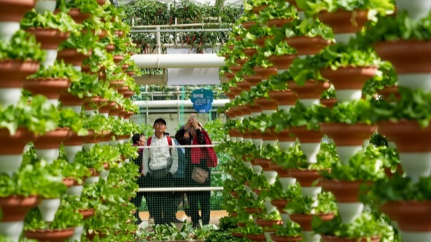 27ª Exposição Internacional de Ciência e Tecnologia de Vegetais da China