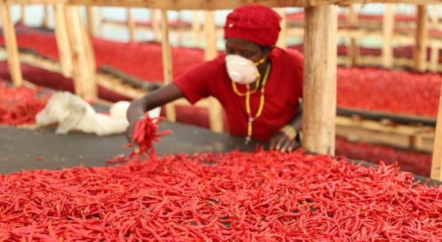 Alfândega de Guangzhou acelera entrada de produtos africanos na ChinaA Alfândega de Guangzhou está a reforçar a supervisão e a facilitar a entrada de produtos agrícolas africanos de alta qualidade.